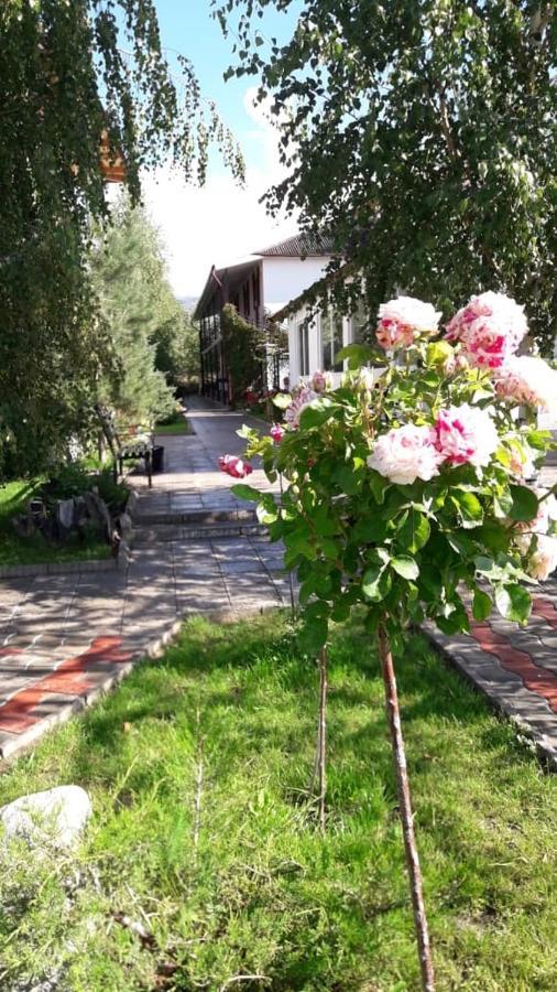 Пансионат Скиф-Мурок Бостери Экстерьер фото